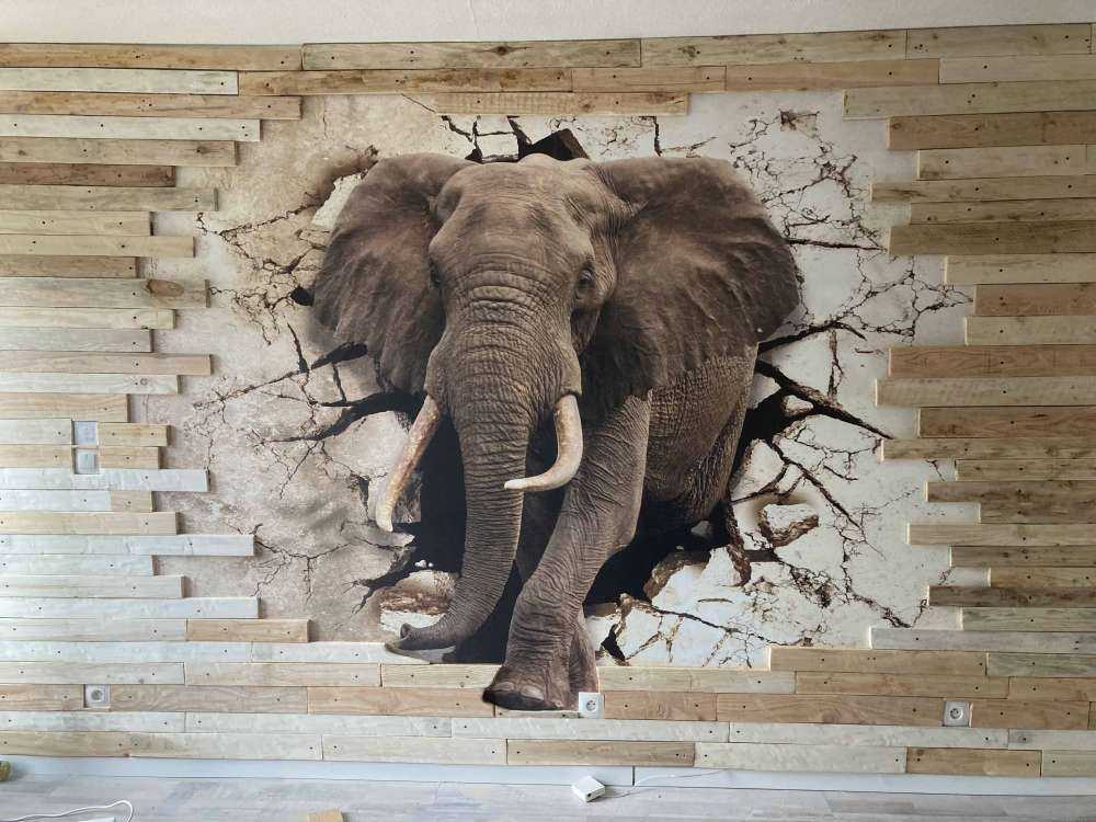 Wielki słoń z muru