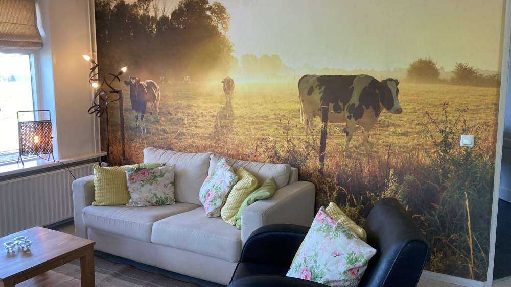 Krowa o wschodzie słońca