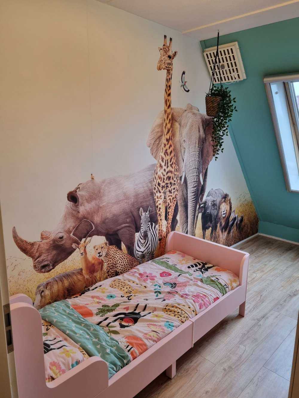 Zwierzę ta na sawannie