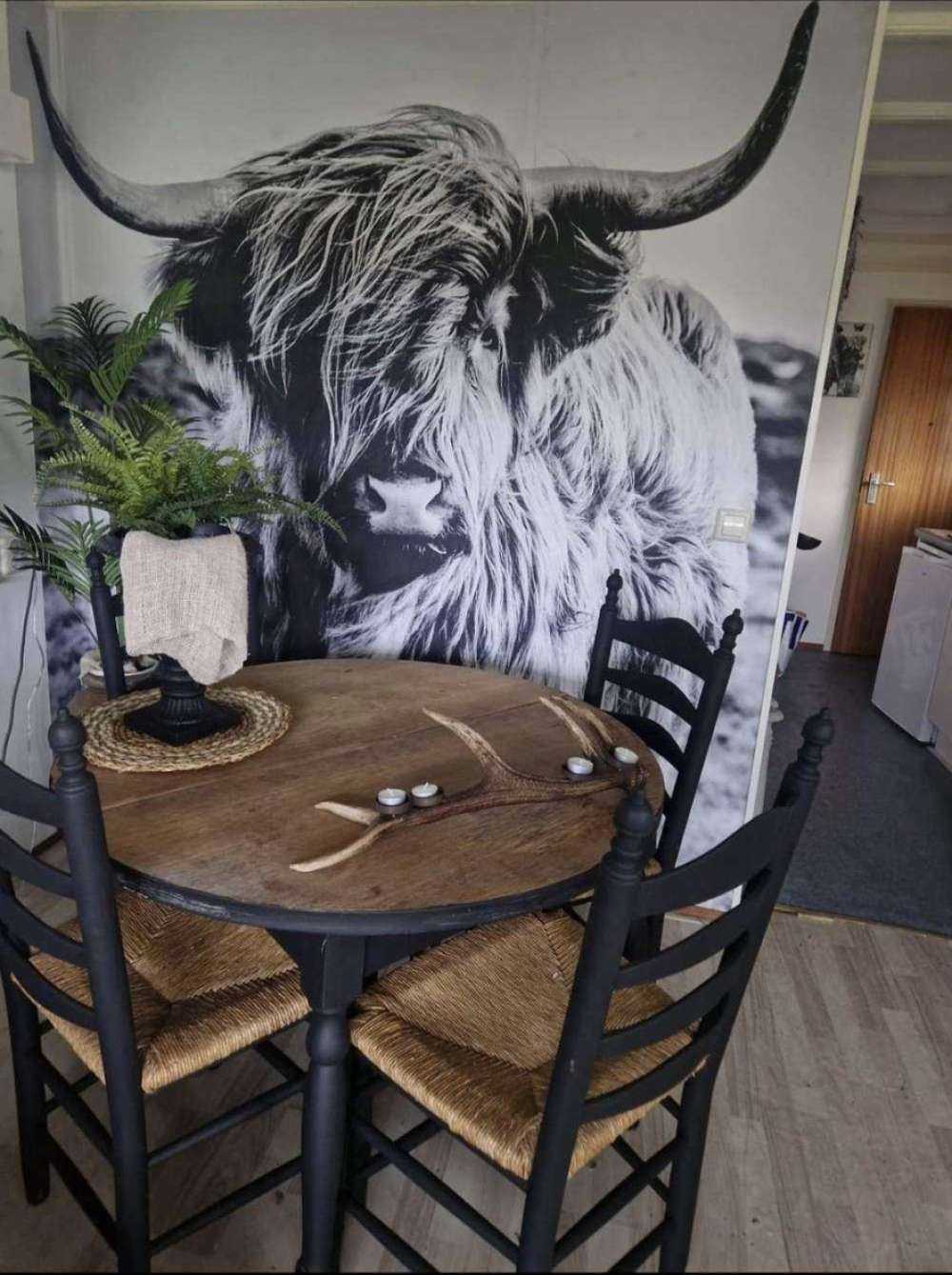 Szkocka rasa wyżynna w czerni i bieli