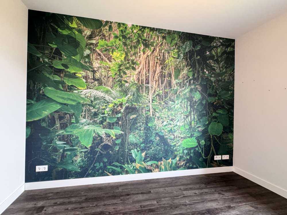 Gałęzie w lesie deszczowym