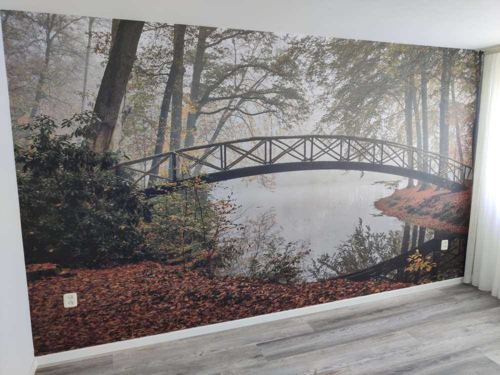 Mostek między drzewami