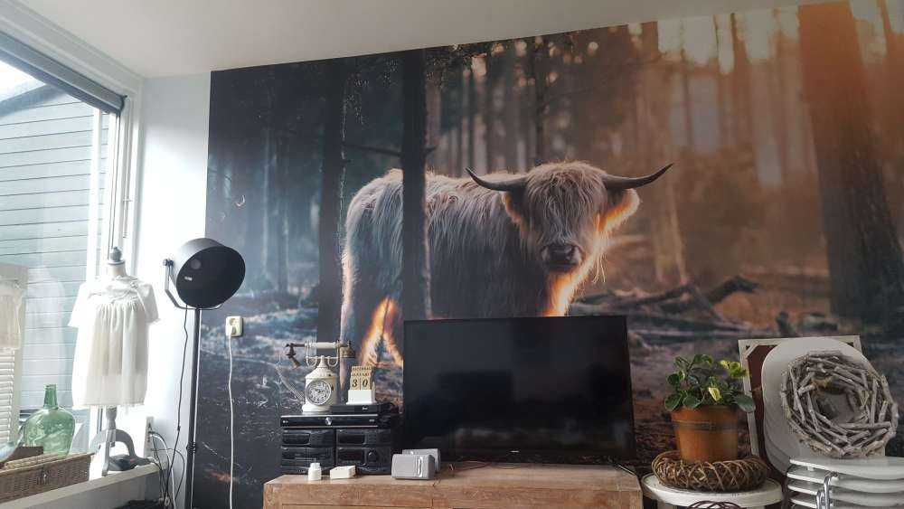 Biały szkocki wyżyn