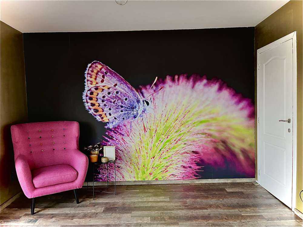 Czerwony motyl na kwiatku