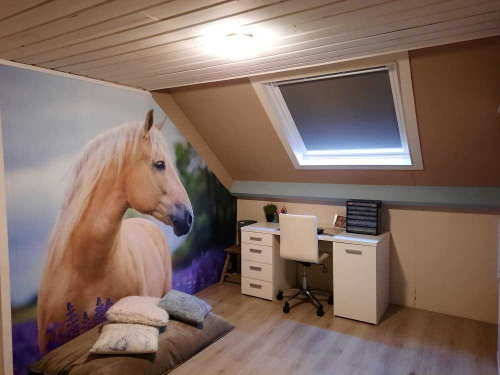 Koń między lawendą