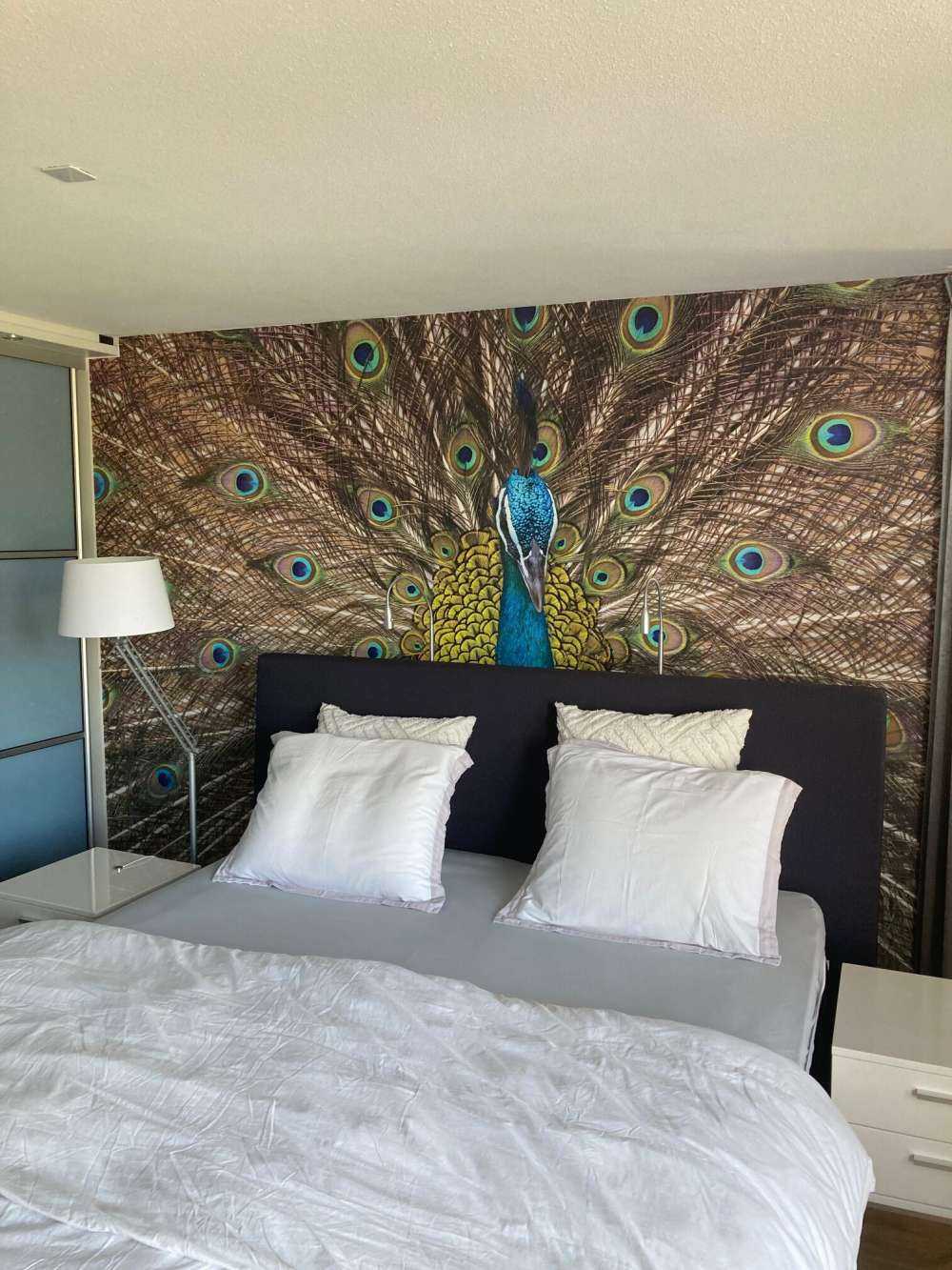 Paw z wypchanymi piórami