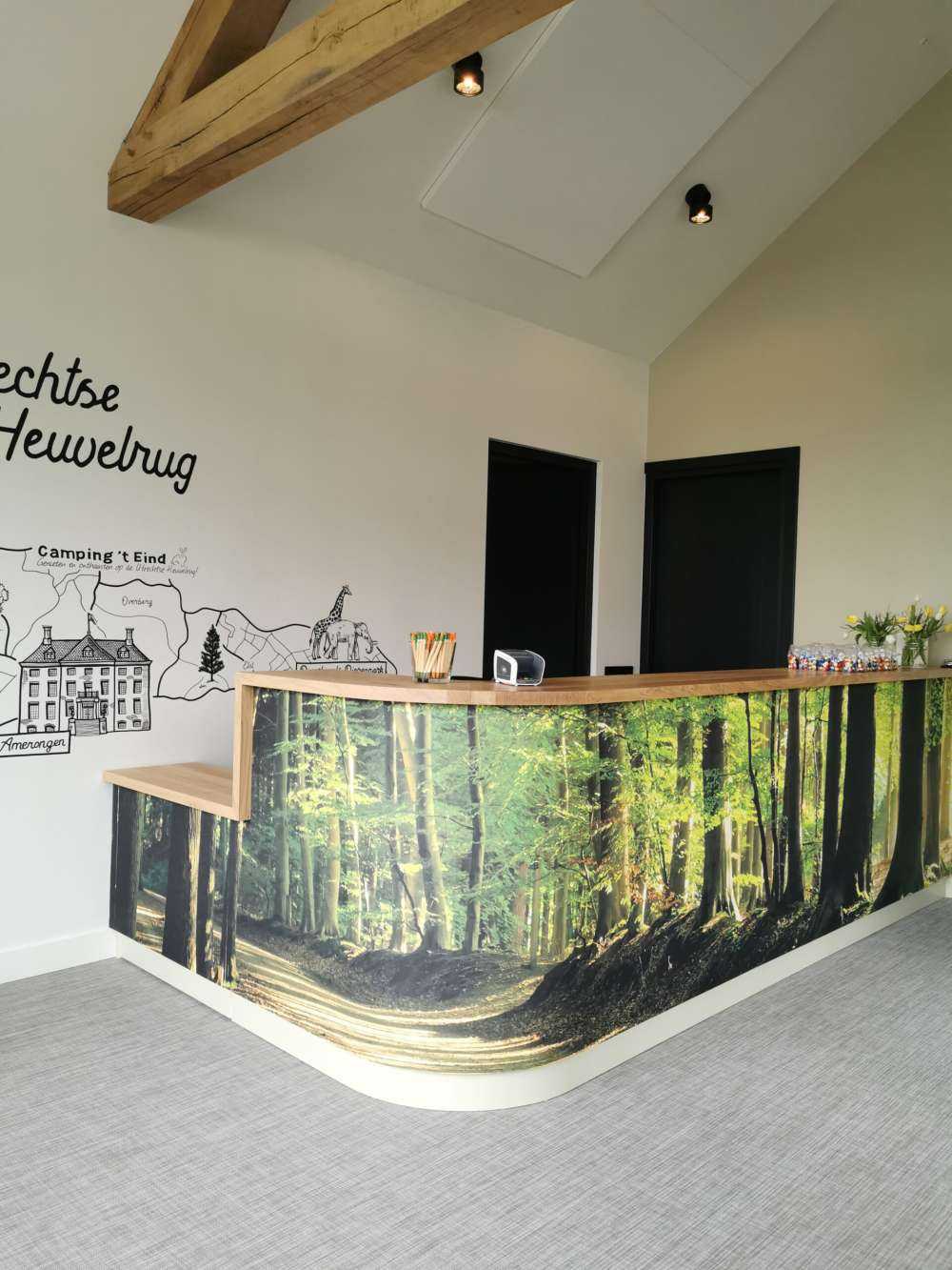 Słoneczna droga przez las