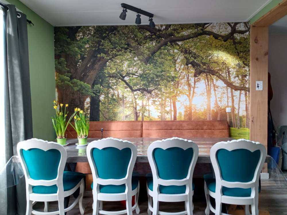 Otwarta przestrzeń w lesie