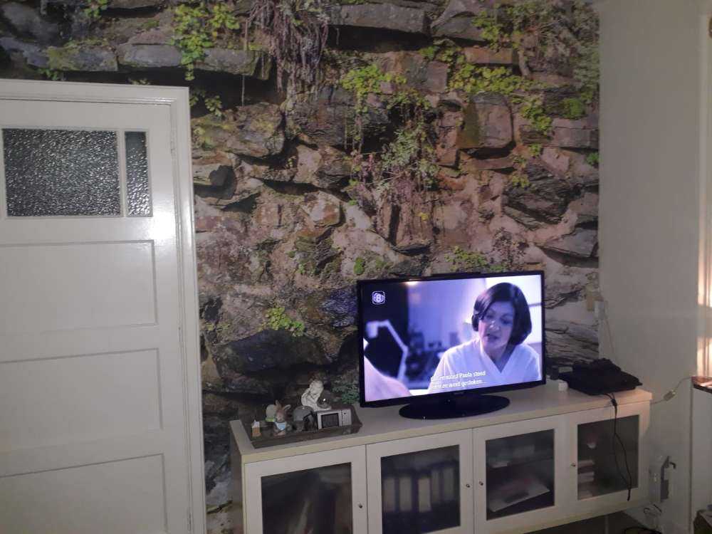 Zarośnięta ściana