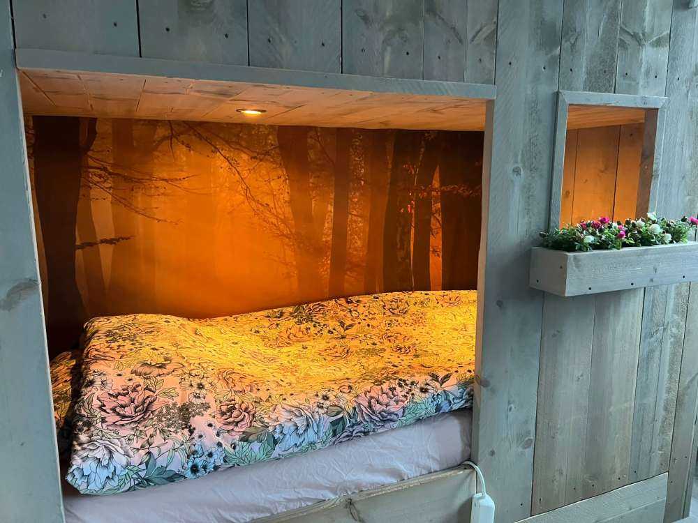 Tajemniczy jesienny las