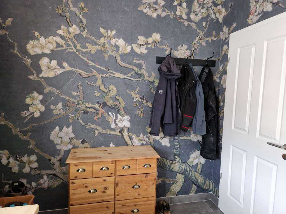 Kwiat migdałowca w rozkwicie