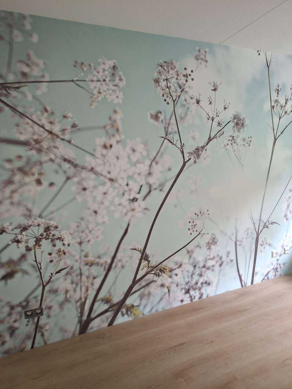 Kwiat migdałowca w słońcu