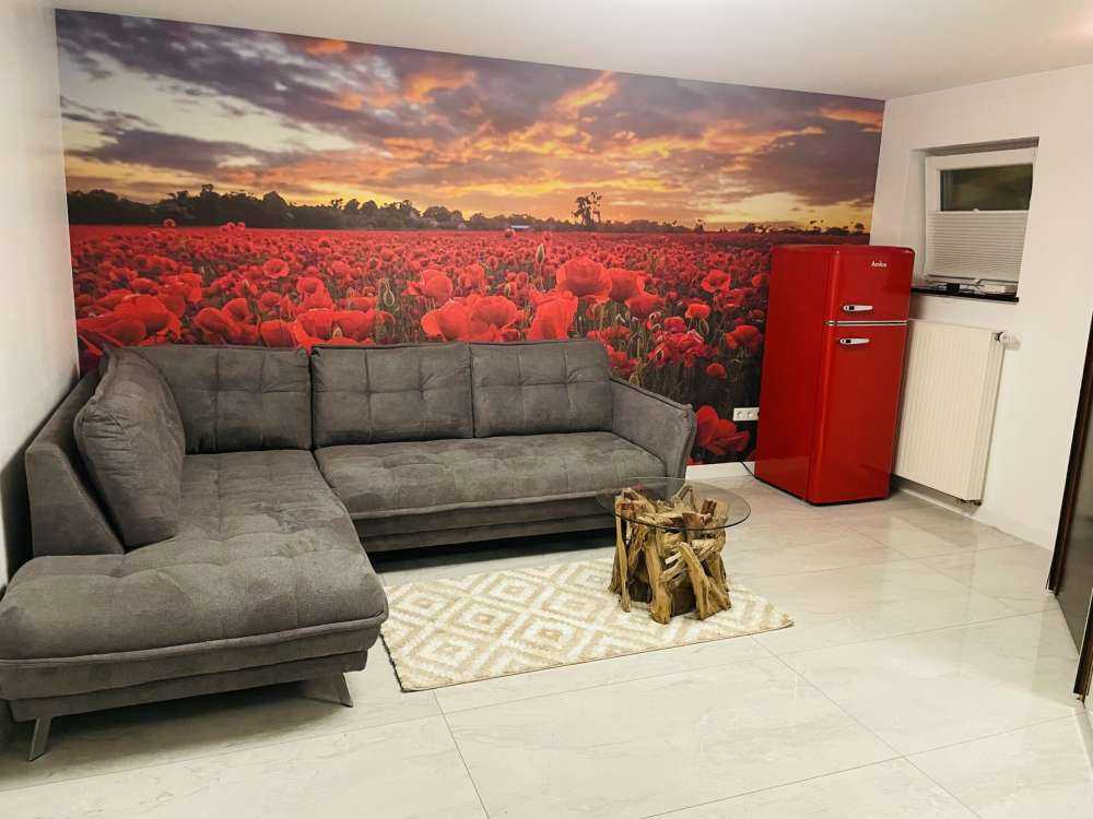 Pole maków z pięknym niebem