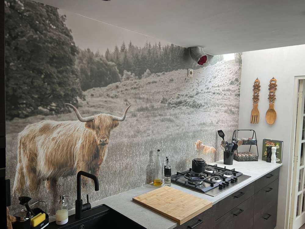 Szkocki wyżyn z cielakiem