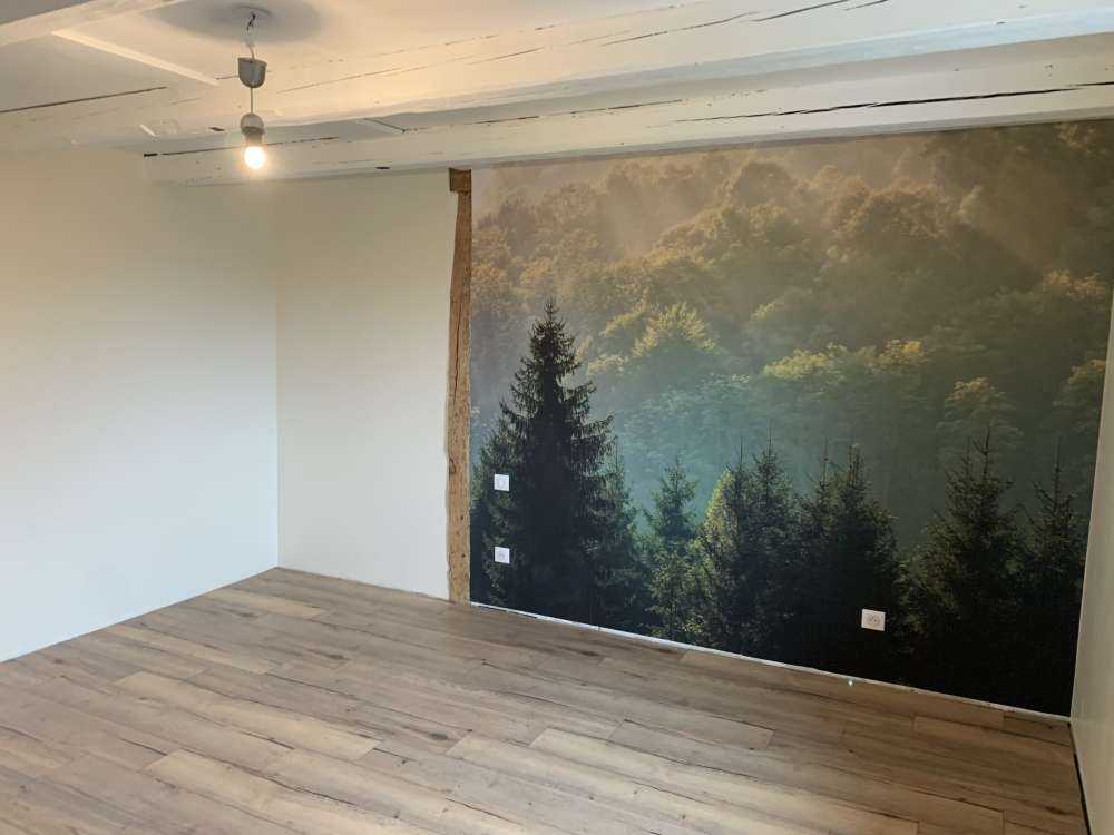 Promienie słońca nad lasem