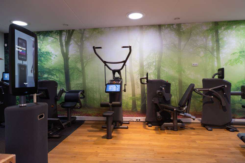 Zielona panorama leśna