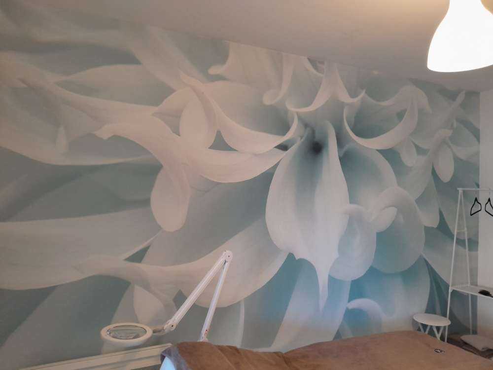 Dalia o jasnej barwie