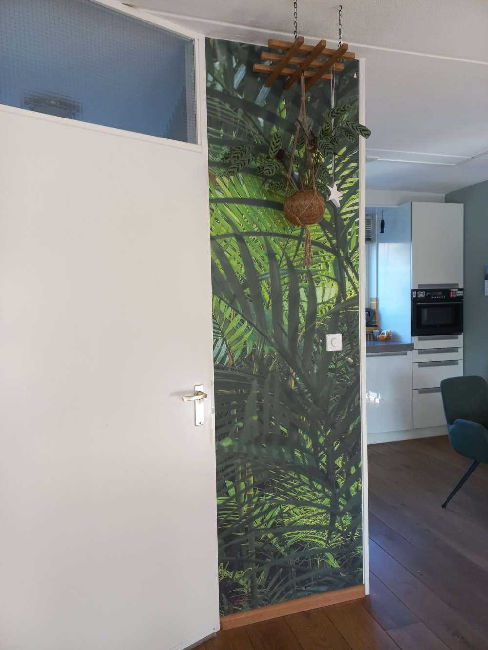 Tropikalne lasy deszczowe