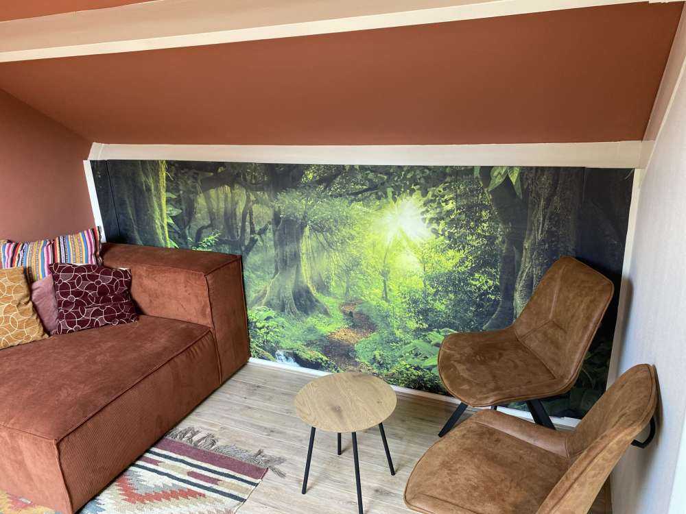 Tropikalna dżungla w świetle słońca