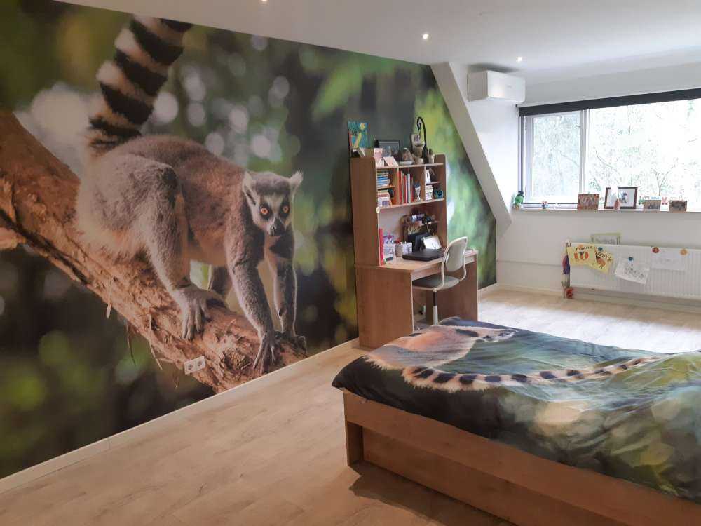 Małpa włochata na drzewie