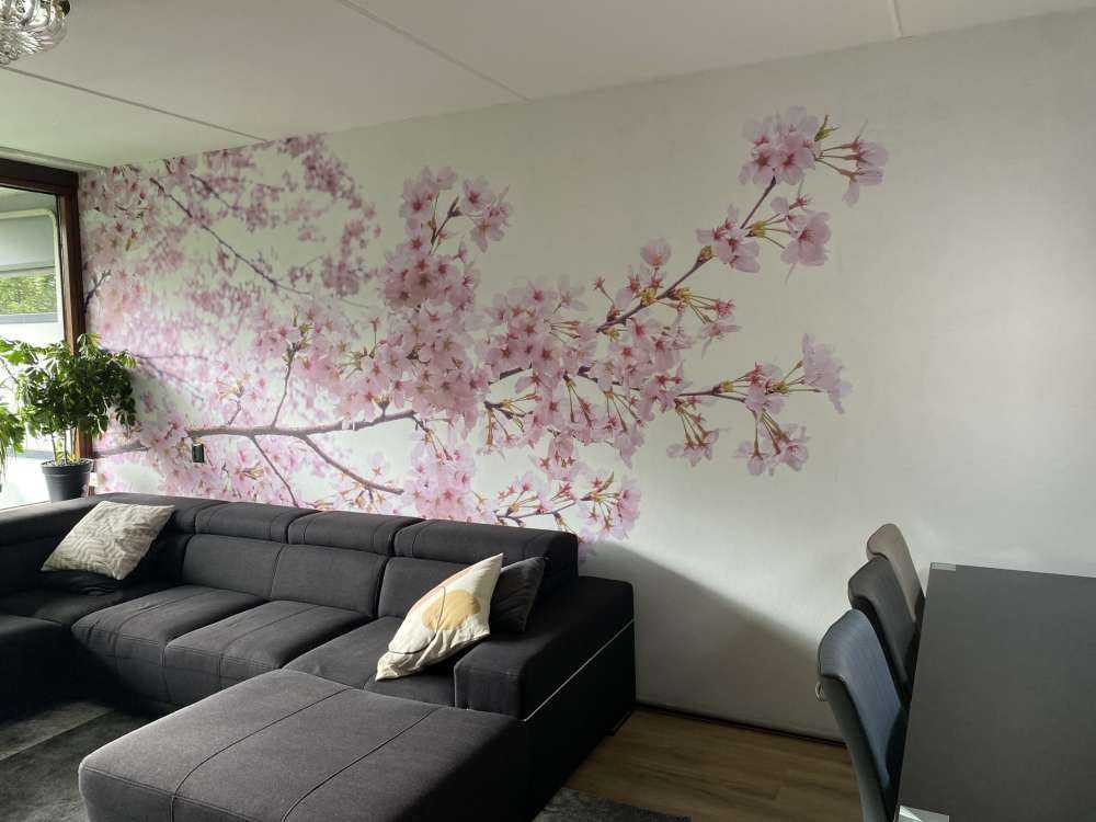 Gałęzie z różowymi kwiatami