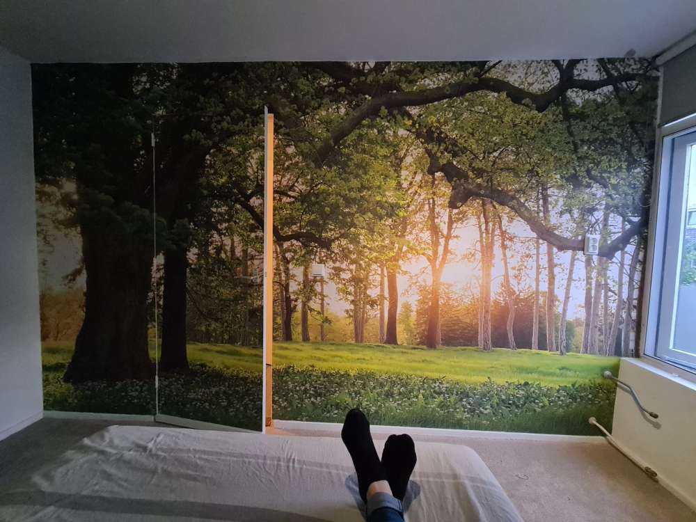 Otwarta przestrzeń w lesie