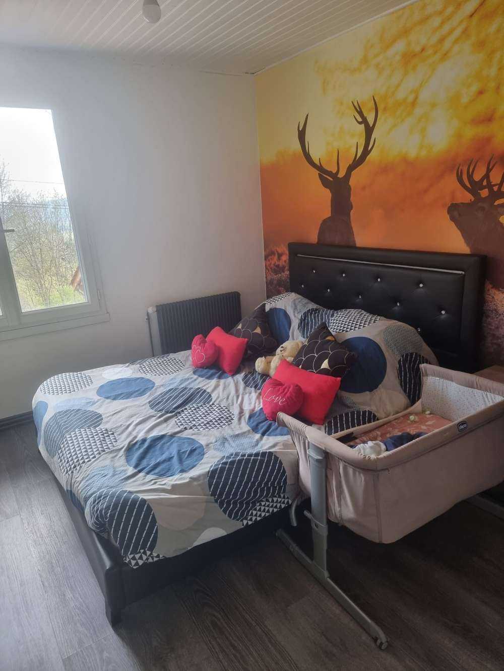 Jeleń o zachodzie słońca