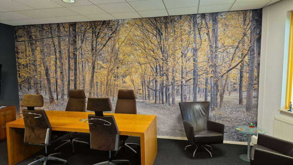 Leśna droga w okresie jesiennym