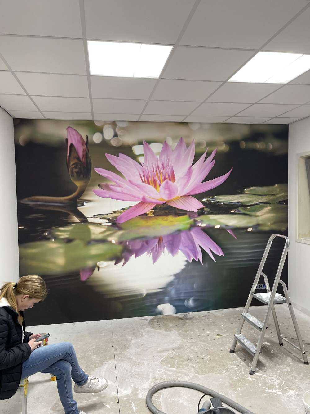 Kwiat lotosu różowy