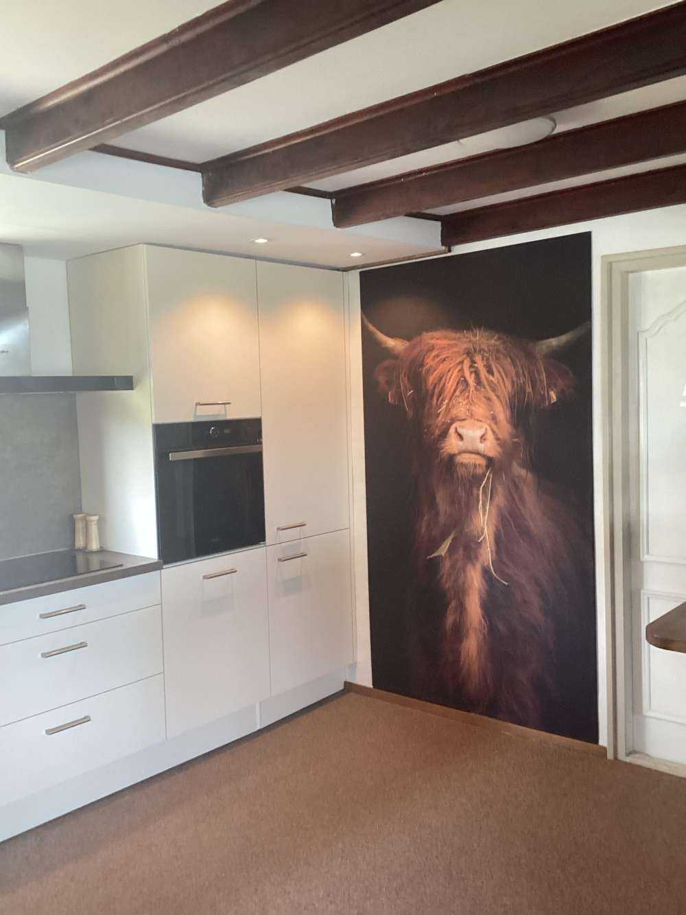 Portret szkockiego wyżynna