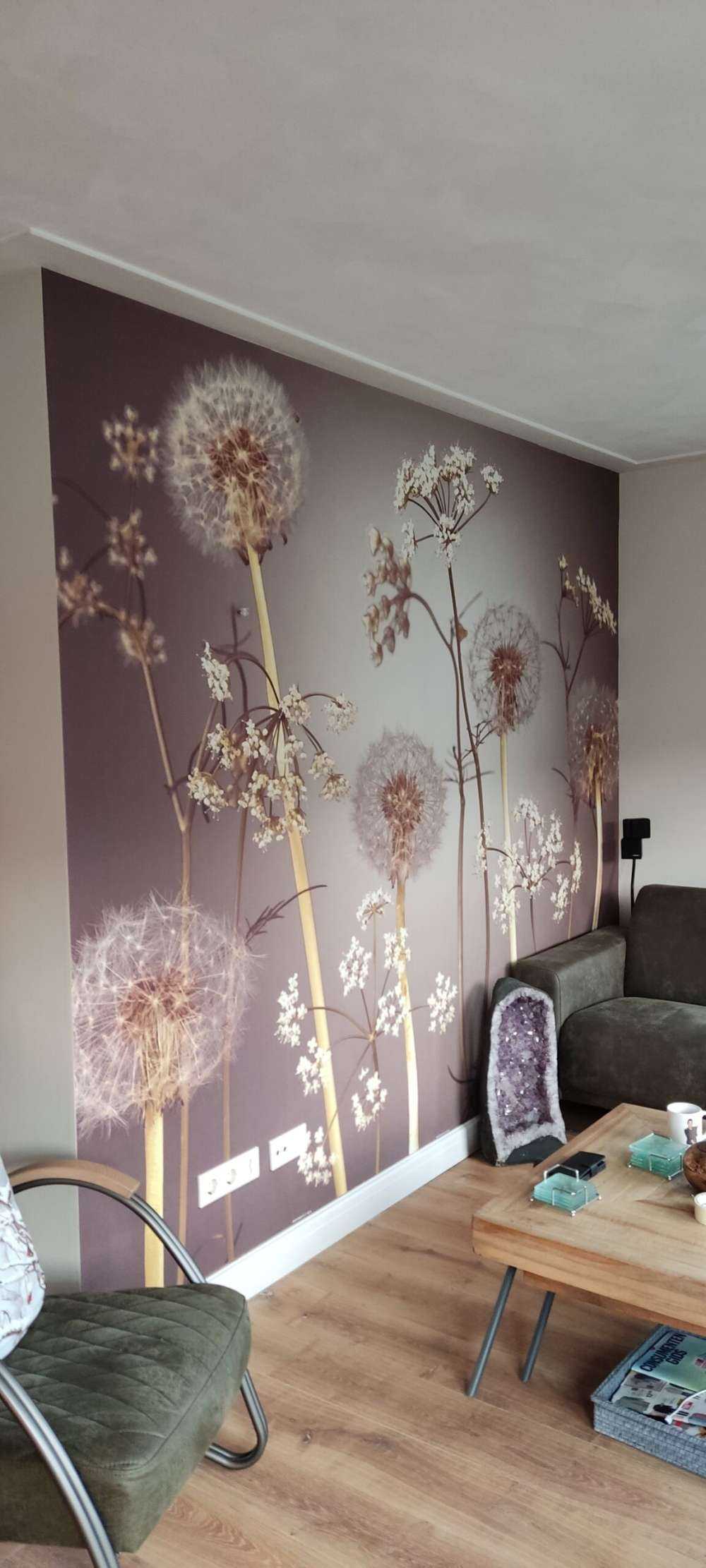 Łąka fantazyjny brąz