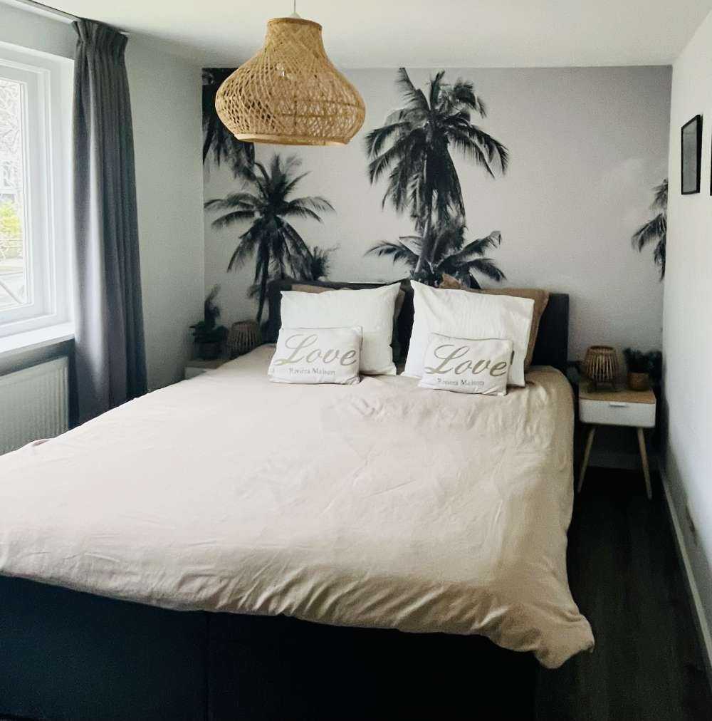 Palmy w czerni i bieli