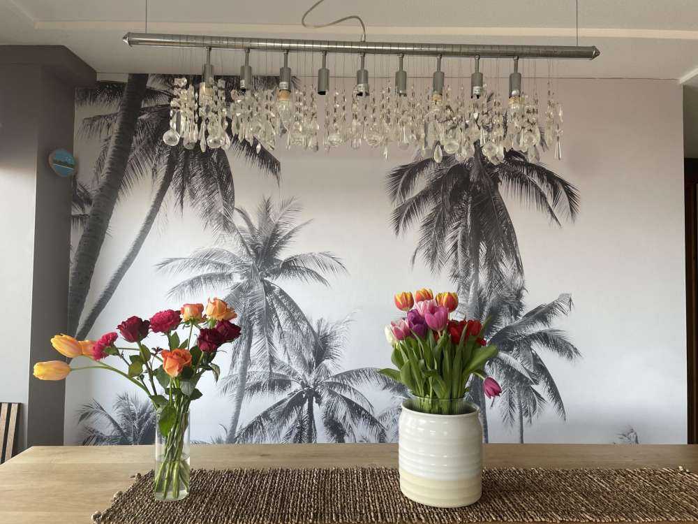 Palmy w czerni i bieli