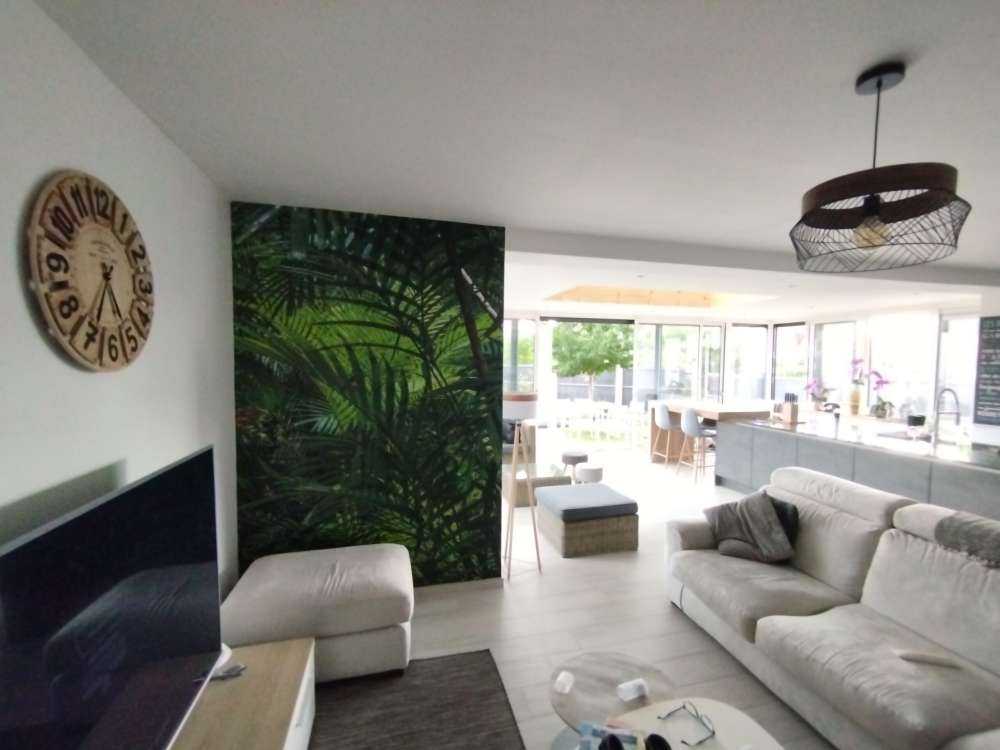 Tropikalne lasy deszczowe