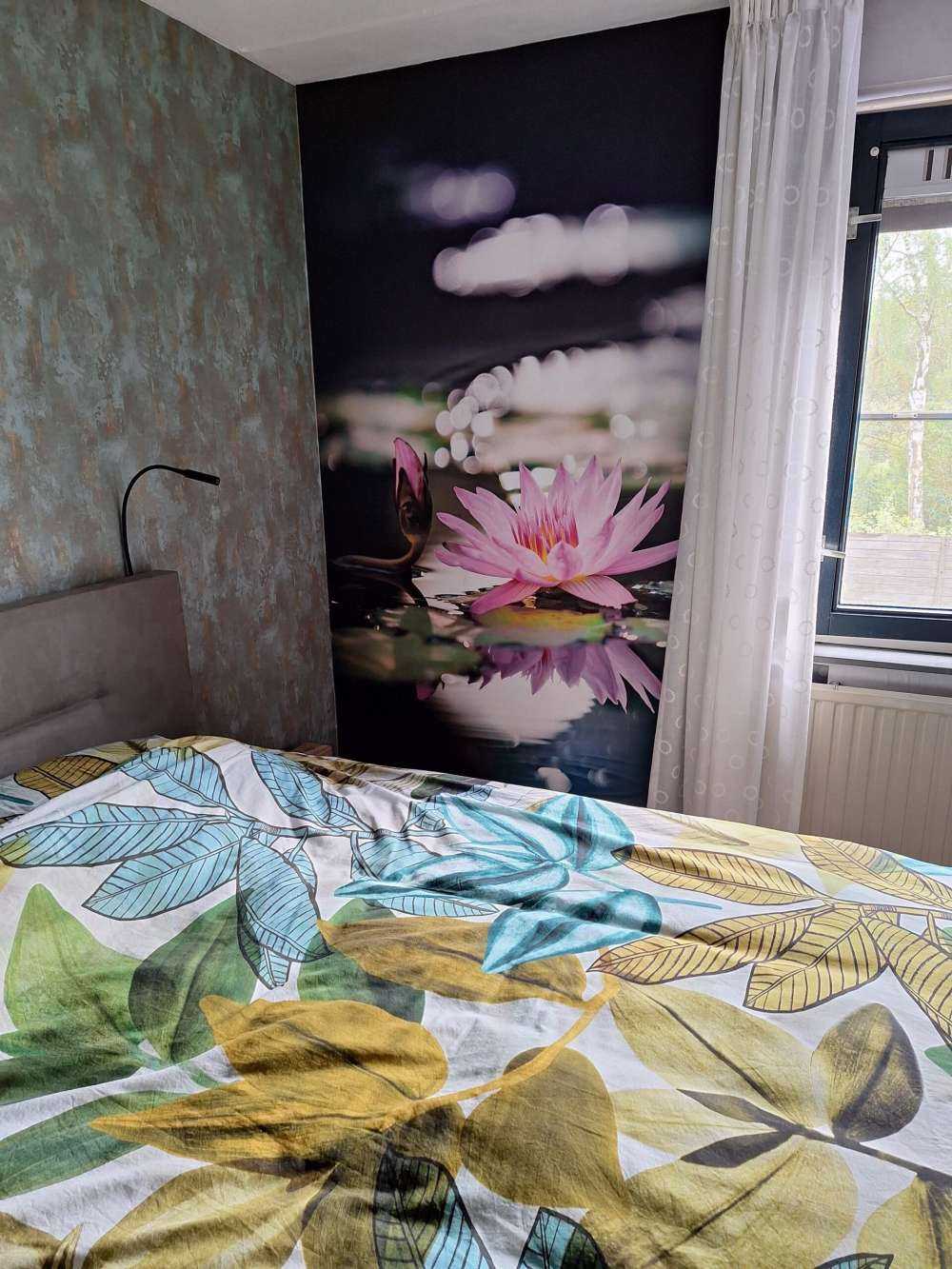 Kwiat lotosu różowy