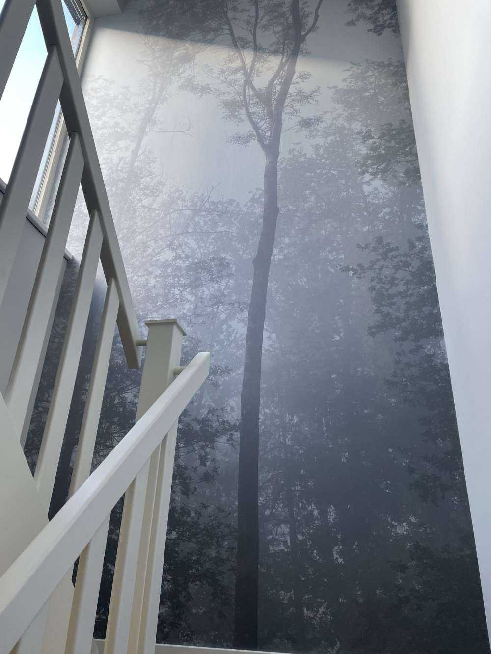 Gęsta mgła w lesie