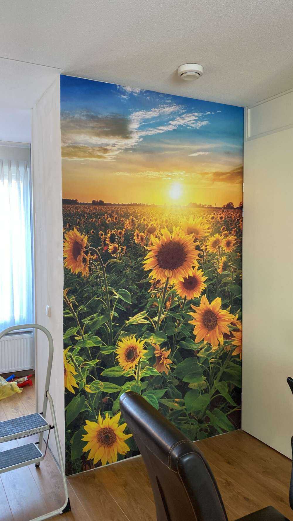 Piękne pole słoneczników