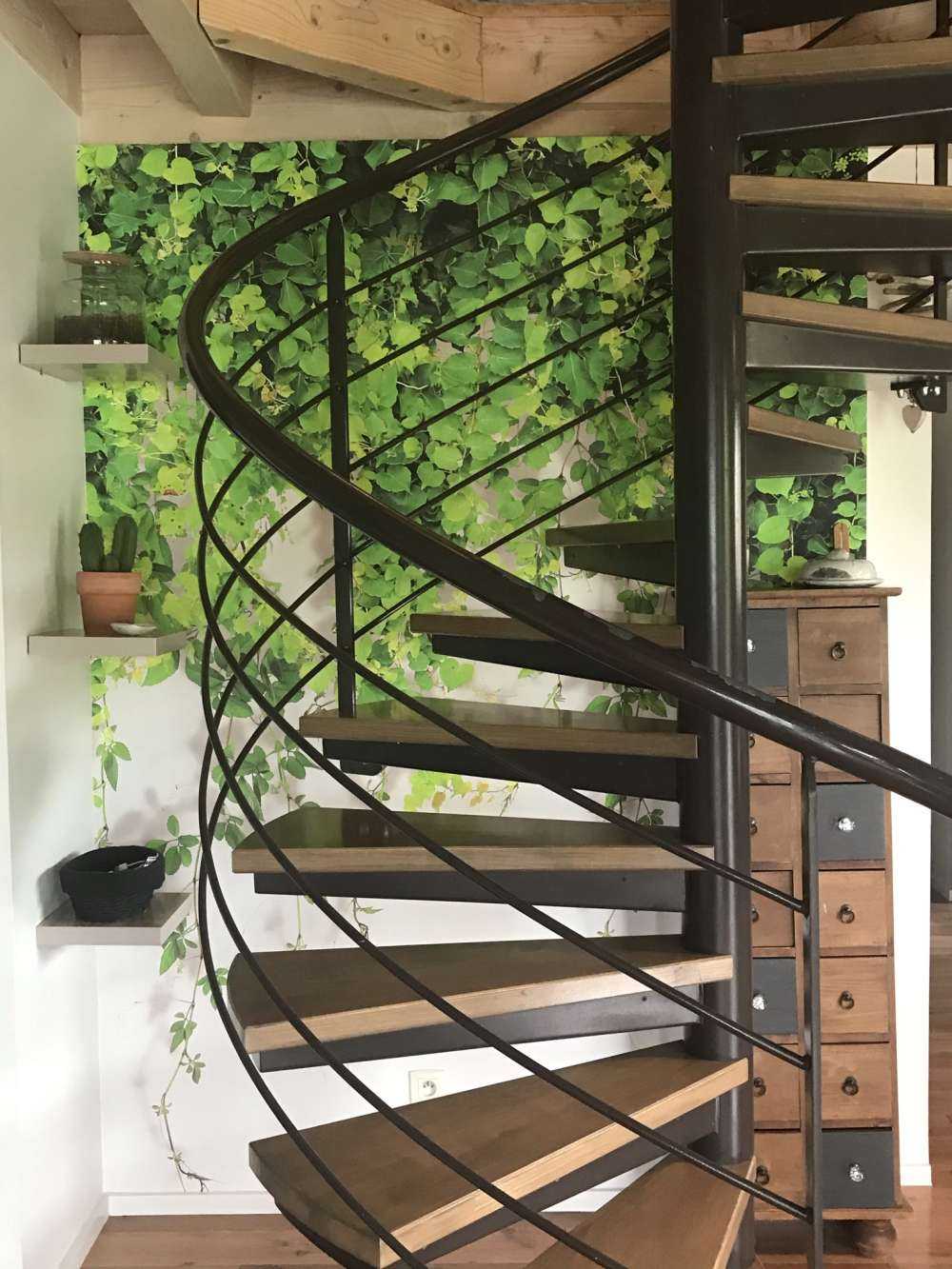 Zielone zwisające gałęzie