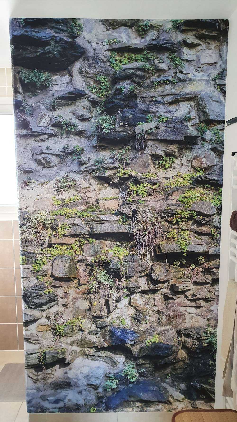 Zarośnięta ściana