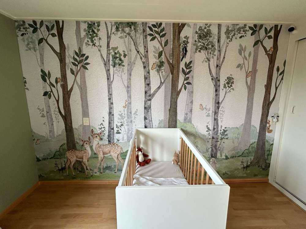 Zwierzęta w naturze