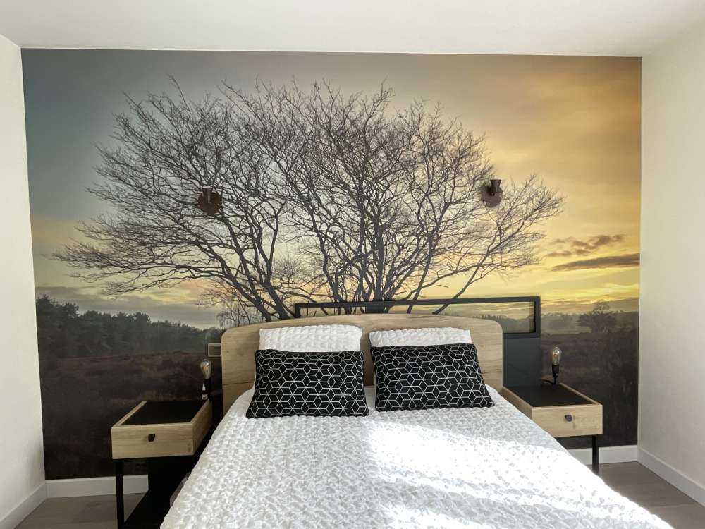 Wschód słońca na wrzosowisku