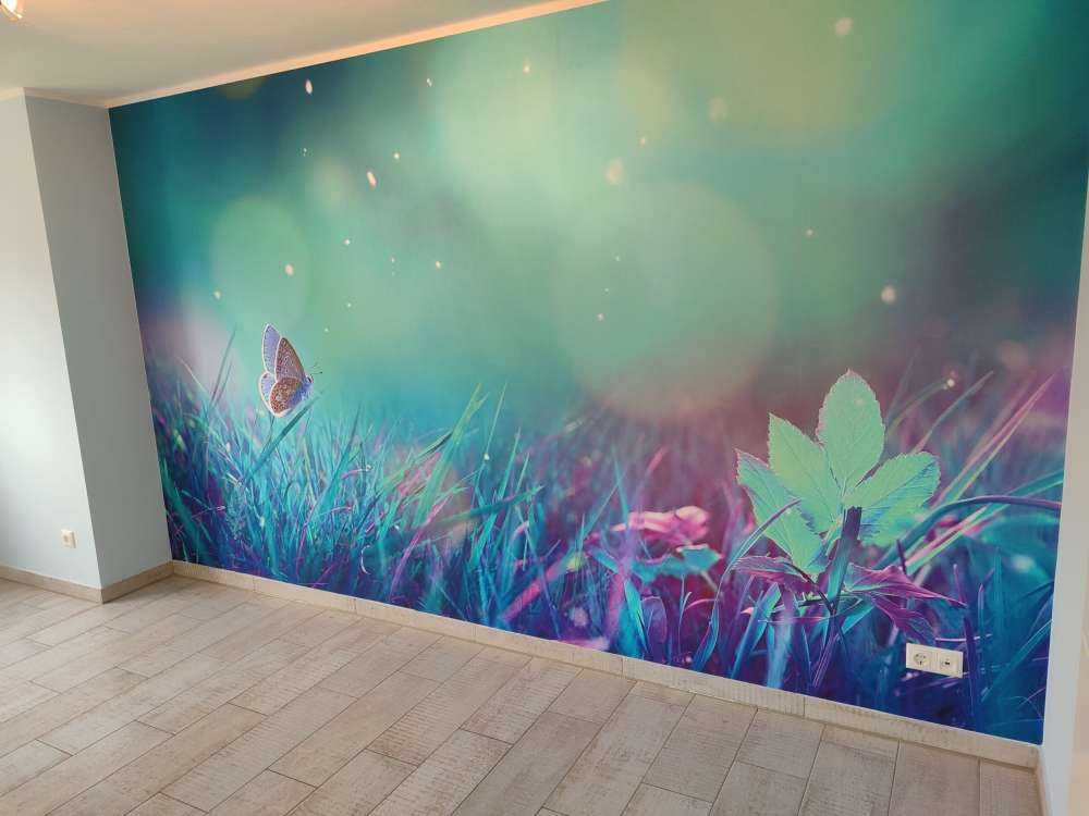 Motyl w porannej rosie