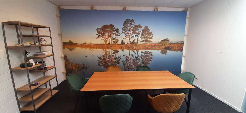 Odbicie w jeziorze leśnym