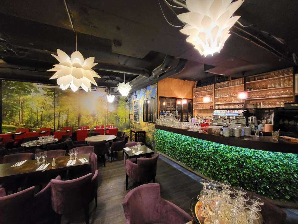 Las z promieniami słonecznymi