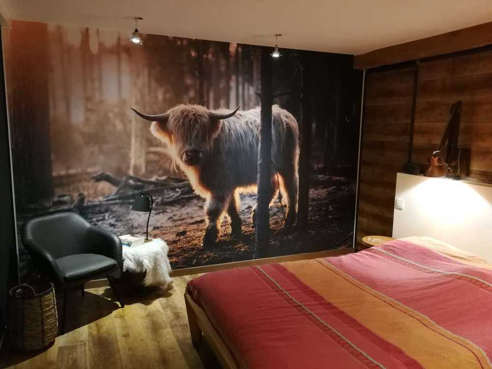 Biały szkocki wyżyn