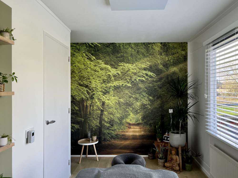 Ropucha w lesie z promieniami słońca