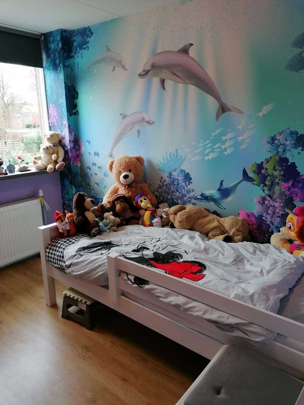 Podwodny świat z delfinami