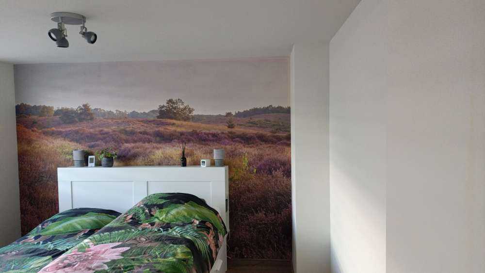 Heathland o wschodzie słońca