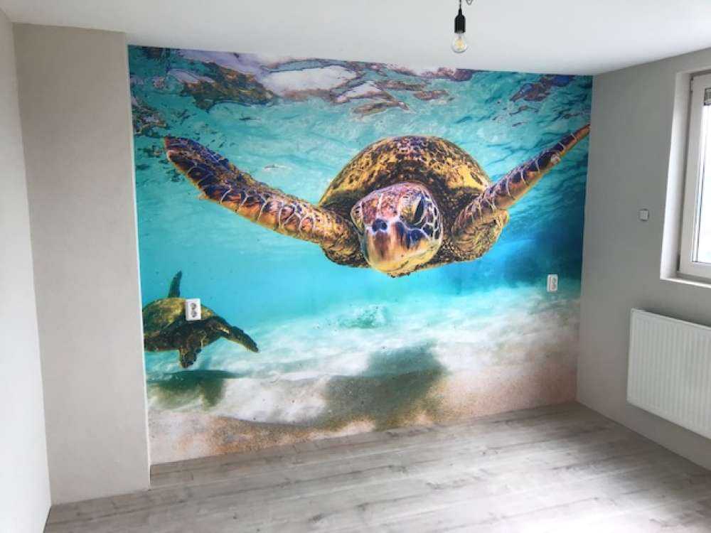 Żółw morski w oceanie