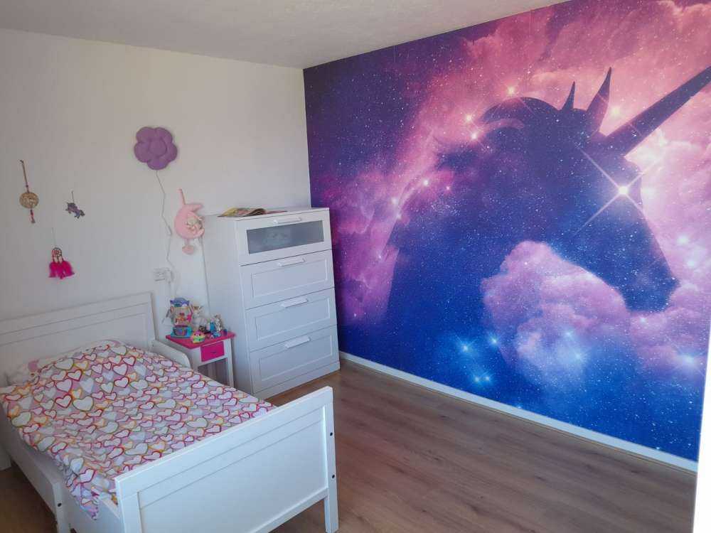 Sylwetka jednorożca